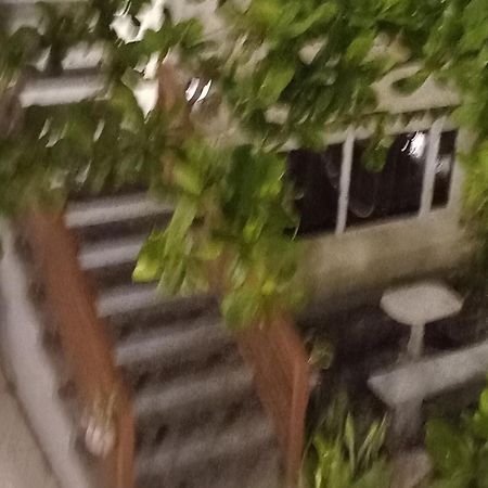 סן חוזה Beachfront Bed & Breakfast מראה חיצוני תמונה